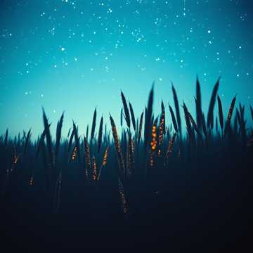 Starlight River