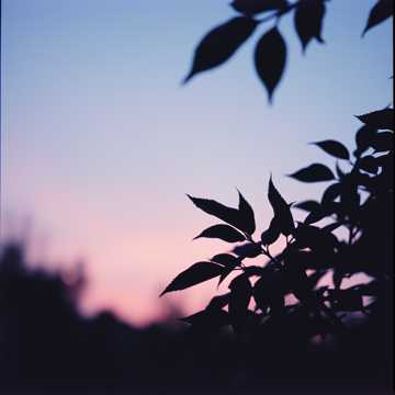 Il vento di sera