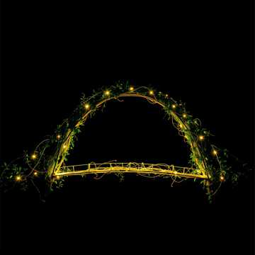 The space between us