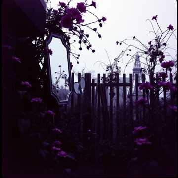 unsuccessfully coping with the natural beauty of infidelity 