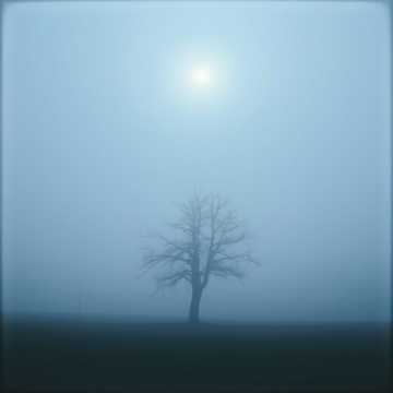 Emotion: Curiosity and unease — a whisper of tragedy before the story begins. cover