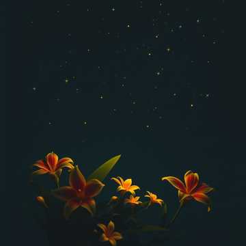 hat infectious Island Reggae beat with a smooth cover