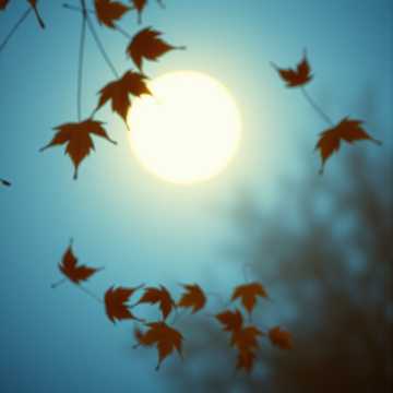 acoustic indie with a touch of longing. cover