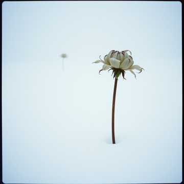 Sing by a male cover