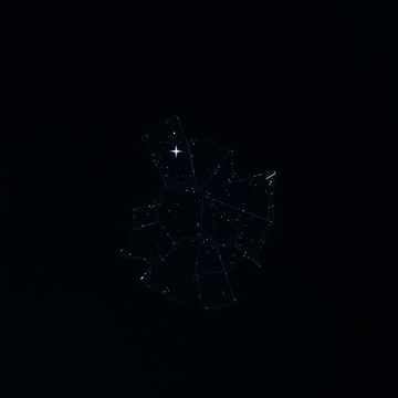 Silent observation (My Version)