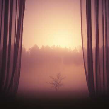 Silken Shadows