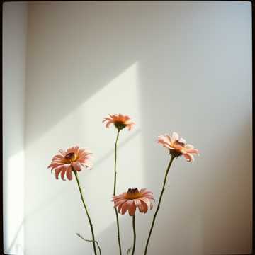 ballata acustica cover