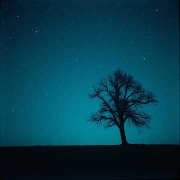 Random thinking (My Version)