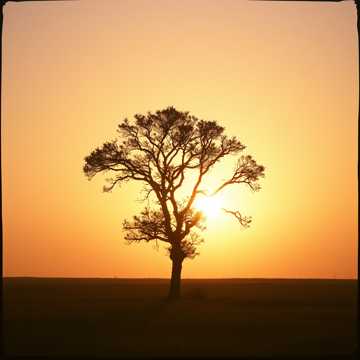 Very old  slow country.  Very deep voice . Slow sad tune cover