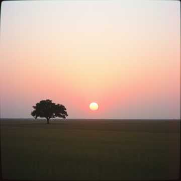 Slow  rough strong voice cover