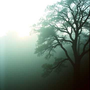 Fantasy Ballad cover