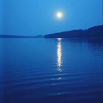 Whispers of Serenity