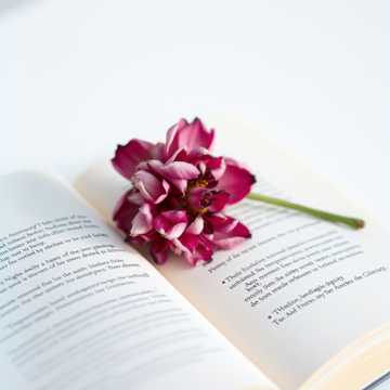 Sayonara Janai no ni