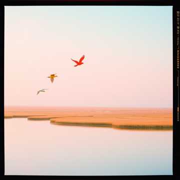 Giovedì il giorno di Giovanni e Dorina