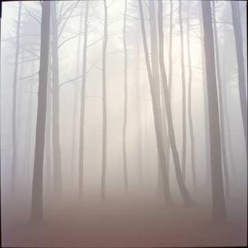 When it's a good day (My Version)